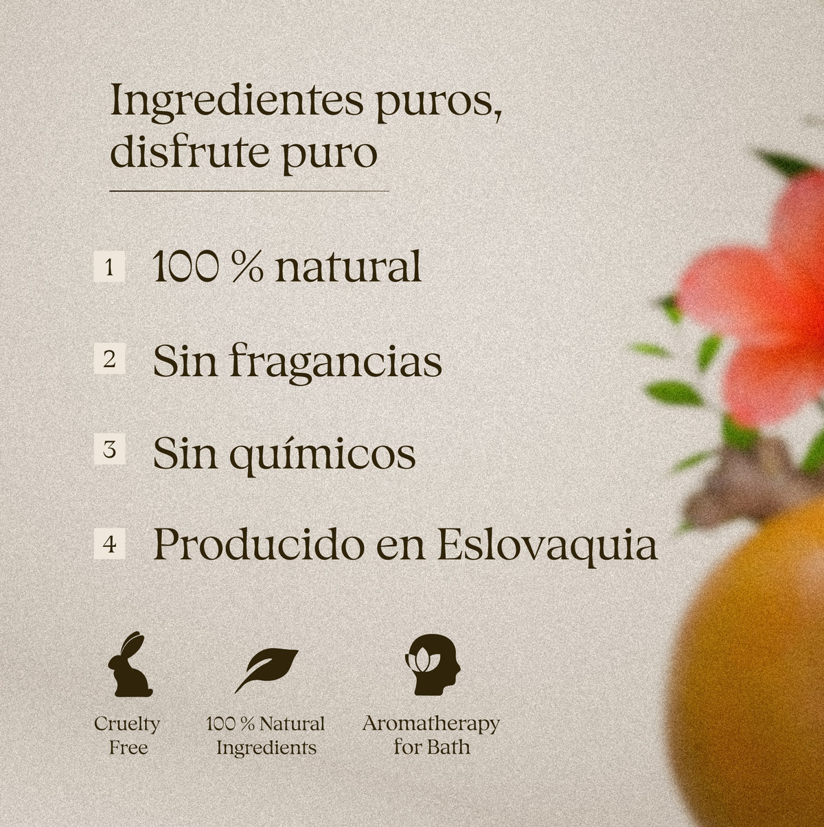 Herbal Spring 50 g – té de baño: ingredientes puros, sin fragancias, producido en Eslovaquia