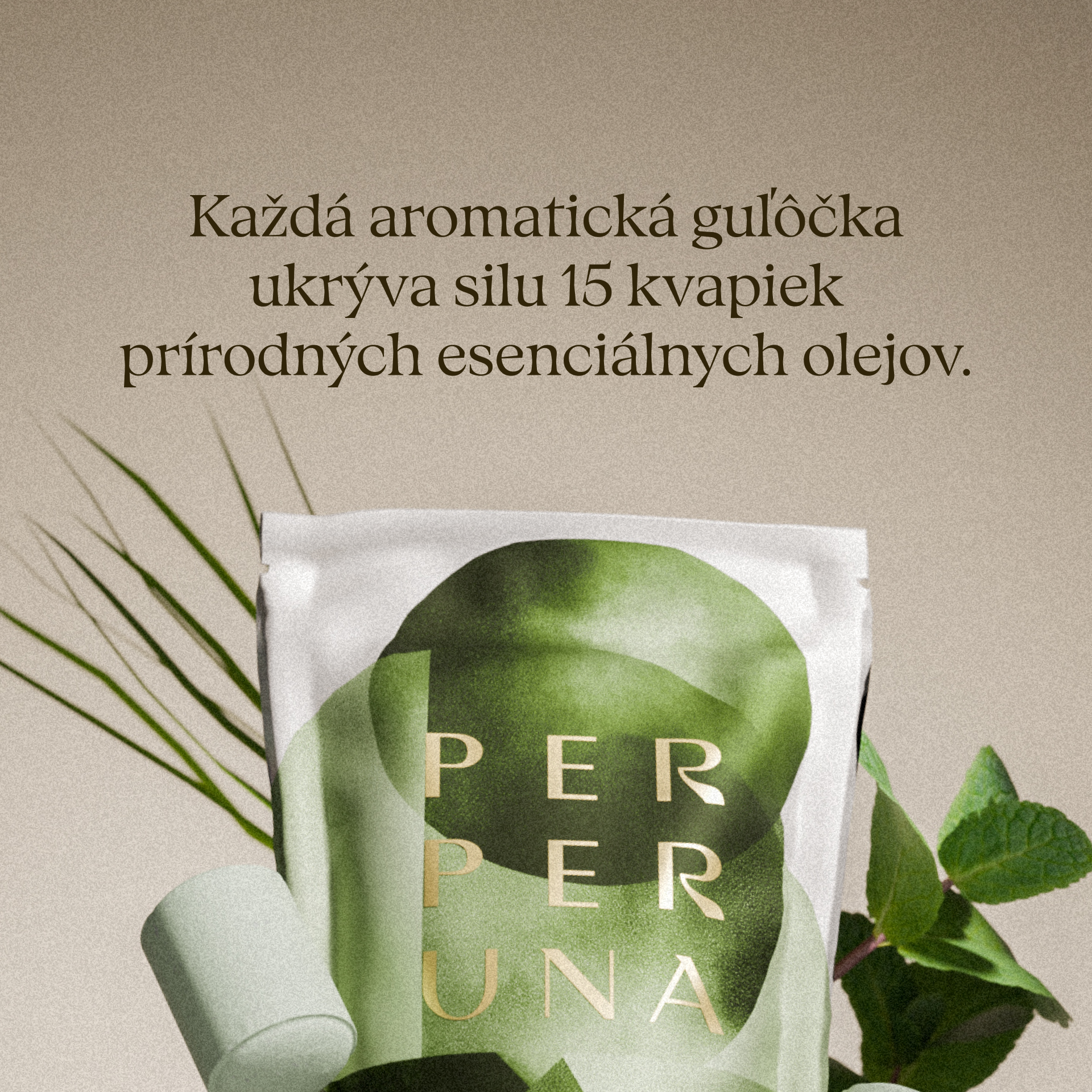 Refresh - Bolitas de ducha (5 uds)