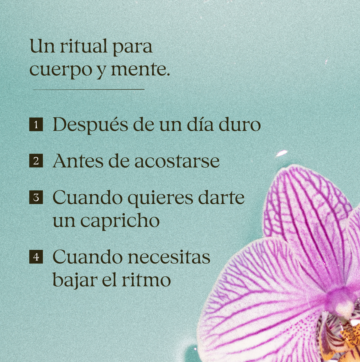 Cuándo usar el té de baño: después de un día duro, antes de dormir, para darte un capricho o bajar el ritmo