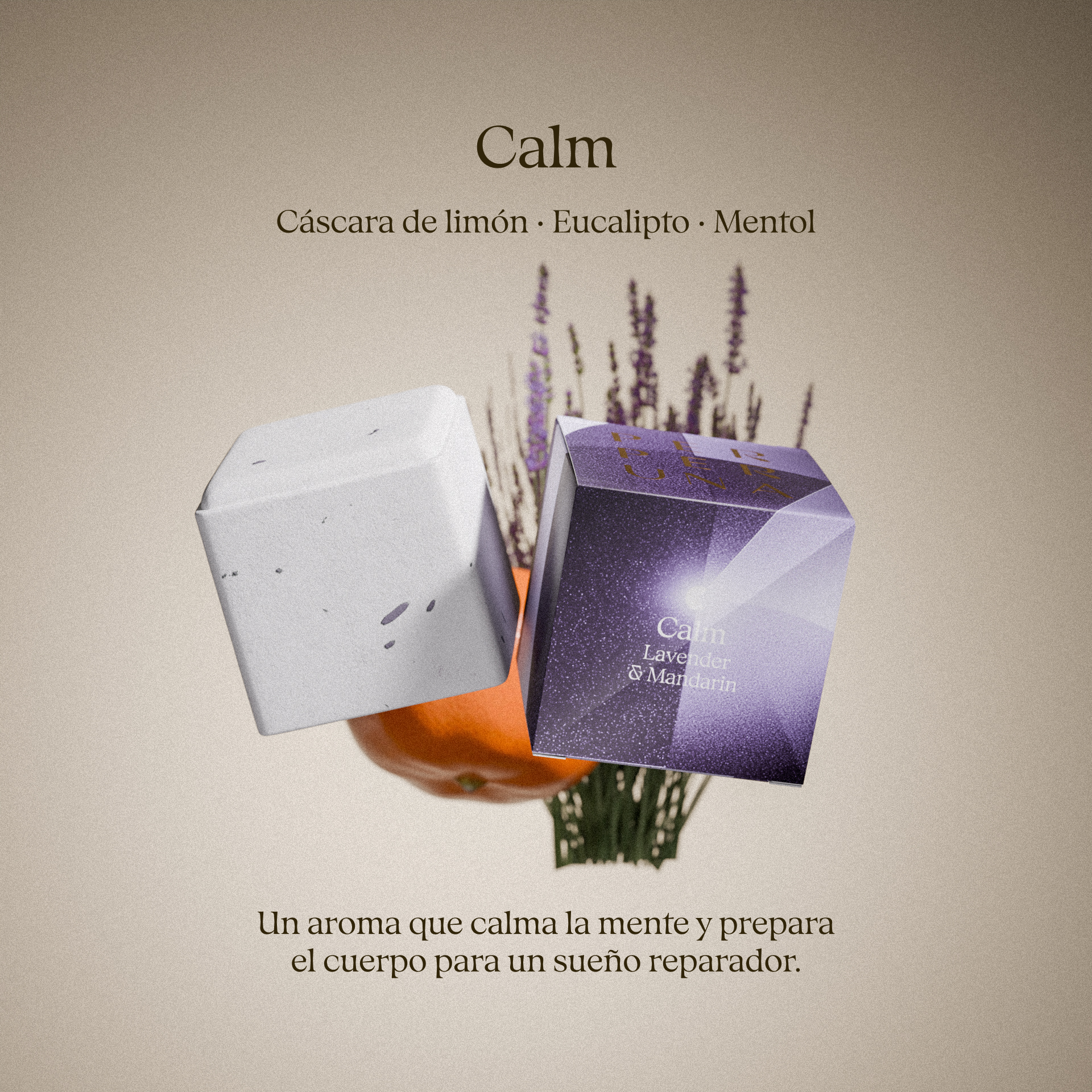 Set ventajoso – 5 cubos de ducha + cuenco de piedra