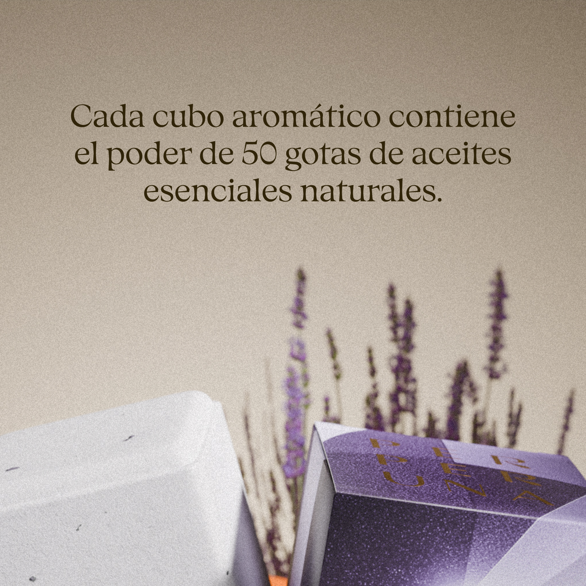 Set ventajoso – 10 cubos de ducha