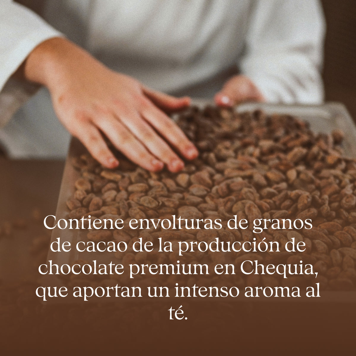 Mount Chocolate 50 g – té de baño: cáscaras de cacao de la producción de chocolate checo