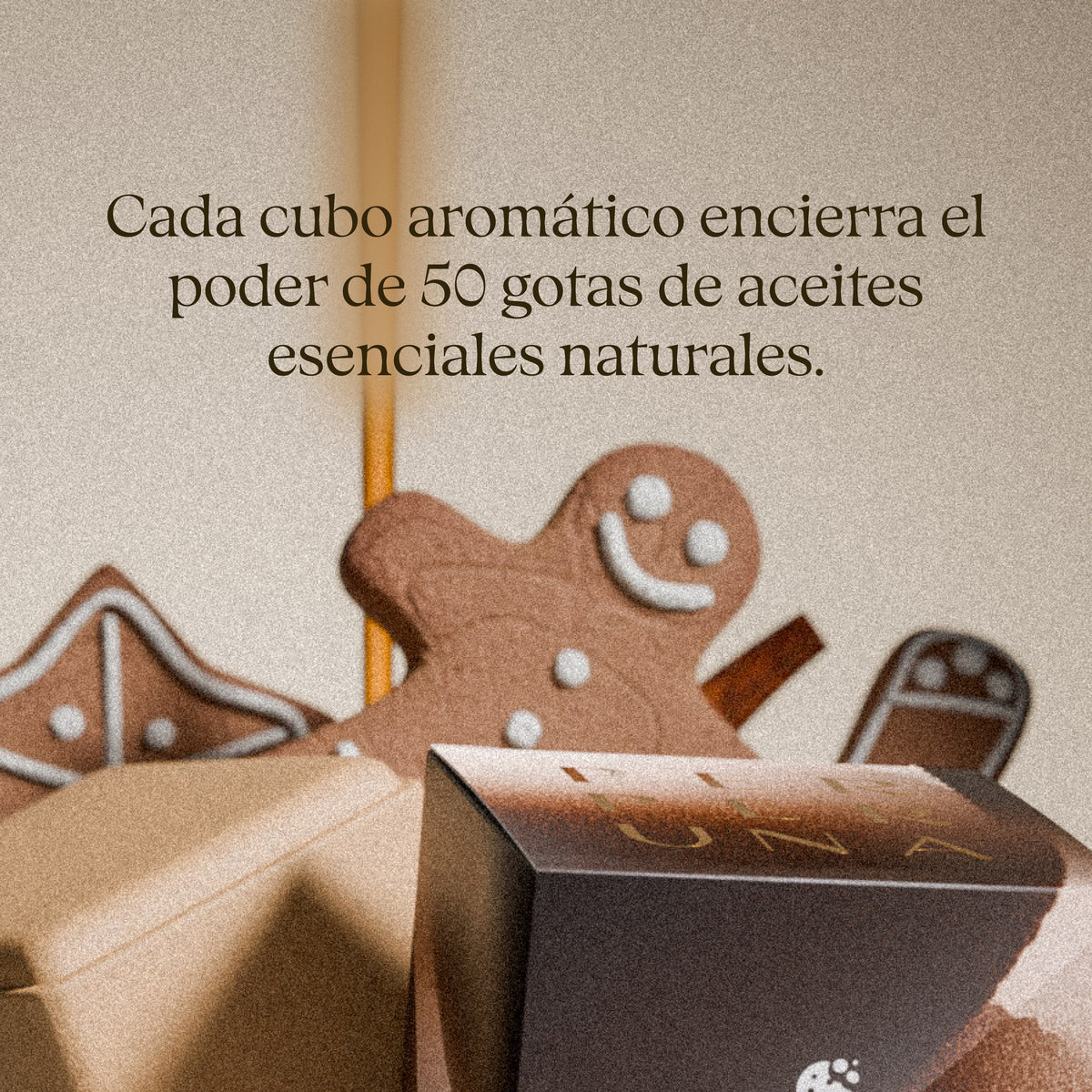 Cada cubo aromático encierra el poder de 50 gotas de aceites esenciales naturales. – Warm